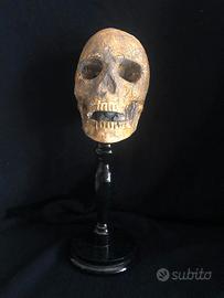 Scultura SCALA 1/1 "MEMENTO MORI" TESCHIO VINTAGE