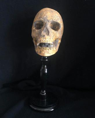 Scultura SCALA 1/1 "MEMENTO MORI" TESCHIO VINTAGE