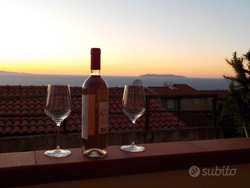 Bilocale vista mare Isola d'Elba Costa del sole