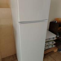 Frigo con congelatore