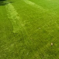 PRATO SINTETICO "GARDEN" MM.40 -  T REXPRATO