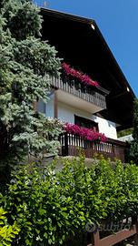 Appartamento Domegge di Cadore