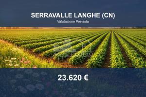 Immobile in asta di 58744 m² a Serravalle Langhe