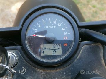 Brixton Glanville 250 - 2022