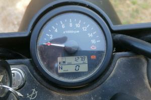 Brixton Glanville 250 - 2022