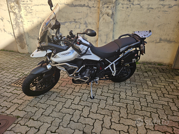 Triumph tiger 900 gt pro