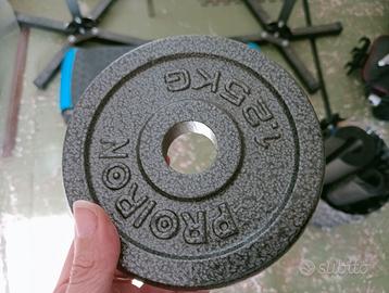 Pesi in ghisa da 1,25