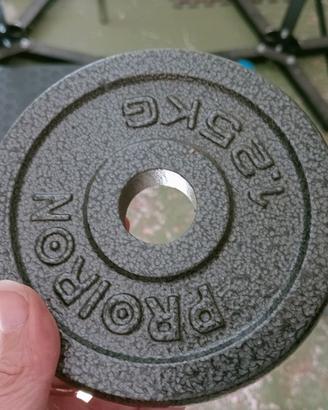 Pesi in ghisa da 1,25