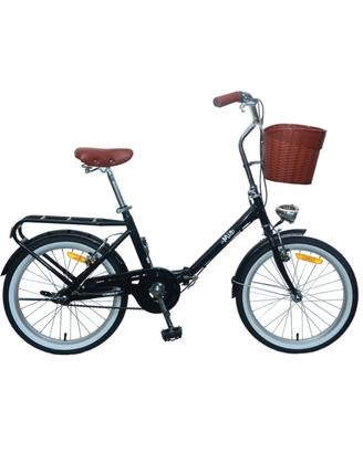 bicicletta pieghevole