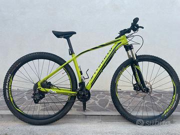 MTB Specialized
