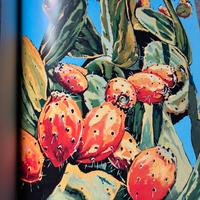 Catalogo d’arte di Gaetano Porcasi