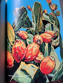 Catalogo d’arte di Gaetano Porcasi