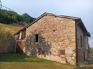 Rustico con terreno