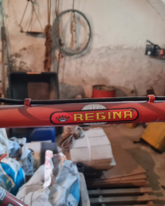 Bicicletta regina