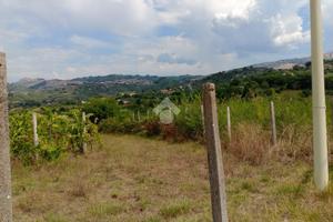 TER. AGRICOLO A OLEVANO ROMANO