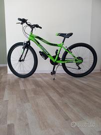 Bicicletta