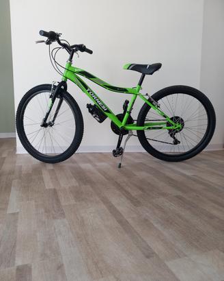Bicicletta