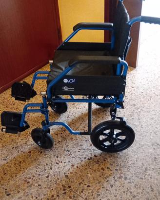 sedia a rotelle 