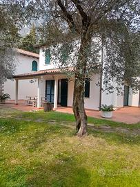 Da novembre a marzo - Garda (VR)