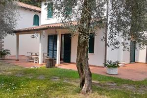 Da novembre a marzo - Garda (VR)