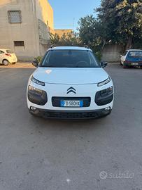 C4 cactus