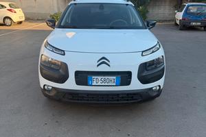 C4 cactus