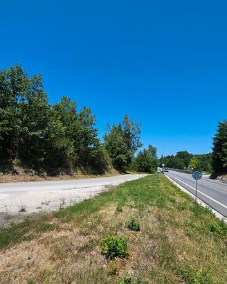 Terreno boschivo e seminativo