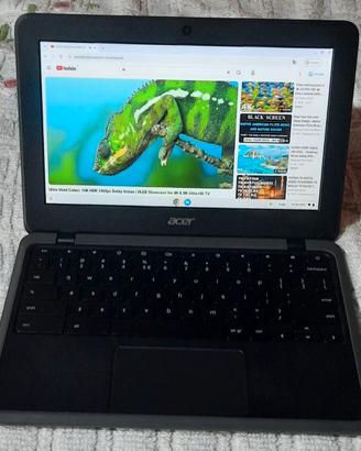 portatile Acer Chromebook touchscreen 32gb playsto