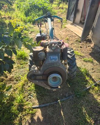 Motocoltivatore bertolini 315