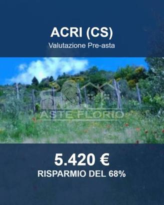 Immobile in asta di 10767 m² a Luzzi