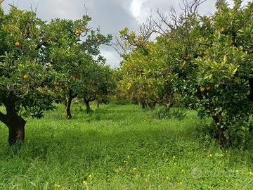 Terreno - Chiaramonte Gulfi