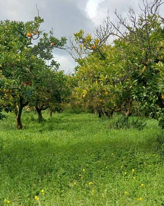 Terreno - Chiaramonte Gulfi