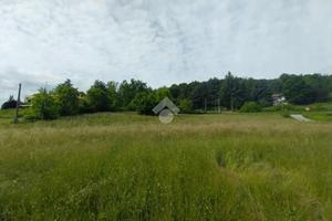 TER. RESIDENZIALE A AVIGLIANA