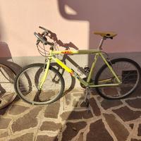 Bici Mountain bike Bottecchia da uomo