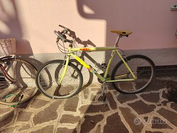 Bici Mountain bike Bottecchia da uomo