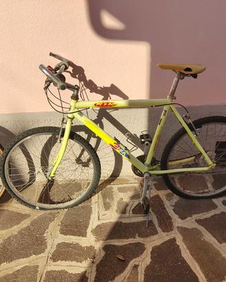 Bici Mountain bike Bottecchia da uomo