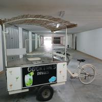 Bicicletta elettrica