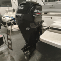 Fuoribordo Mercury 100 EFI
