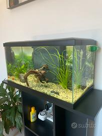 Acquario 60 litri