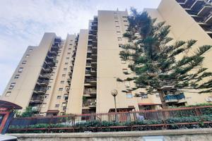 4 VANI E MEZZO BONAGIA