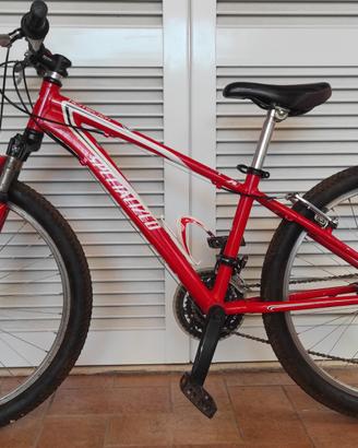 specialized bambino 
