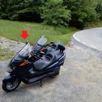 Ricambi Majesty 250