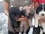 Immagine 3