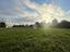 Immagine 12