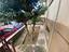 Immagine 14