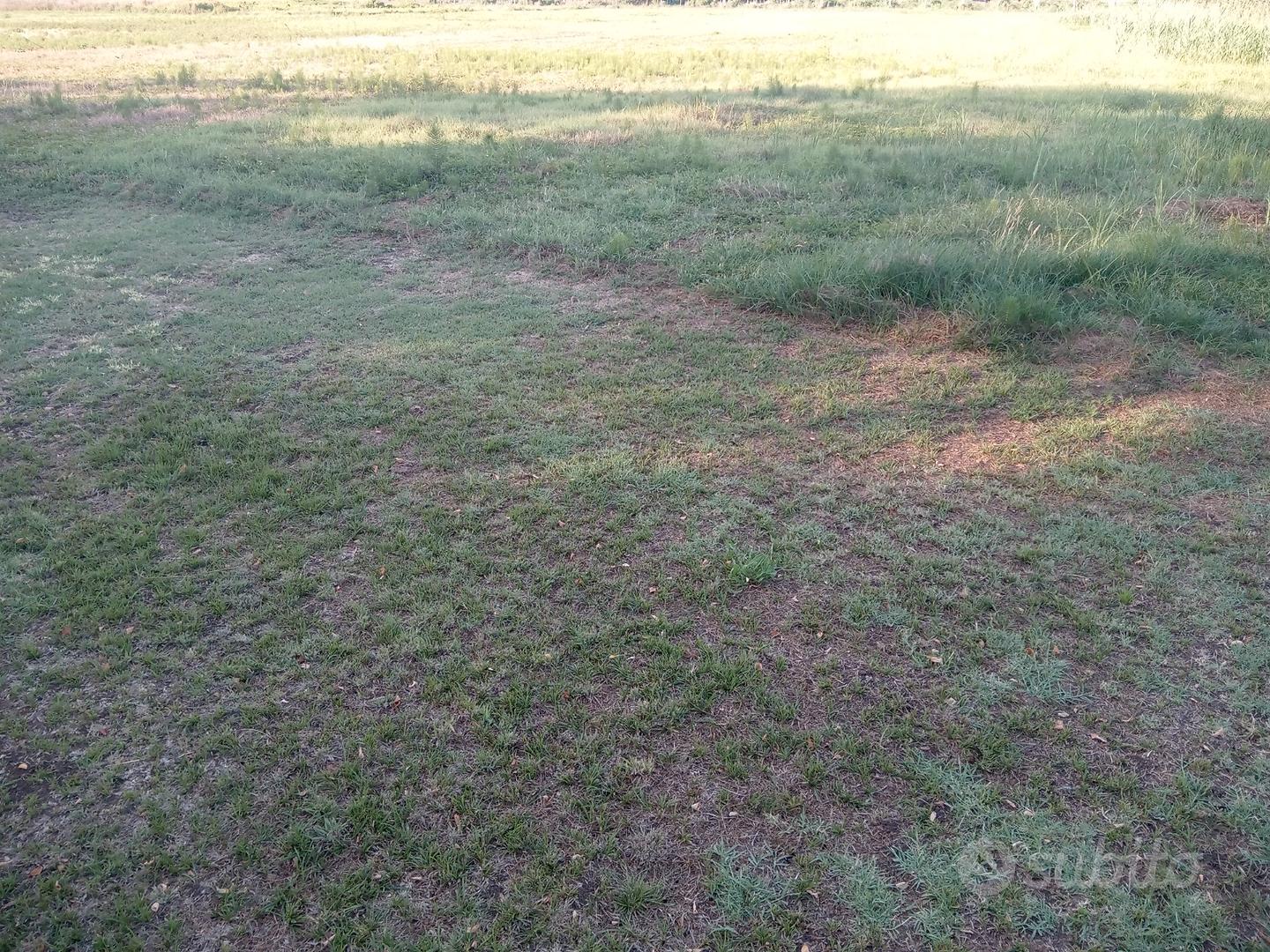 Terreno agricolo - Vista 2