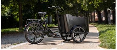 Bici cargo viola bike canguro