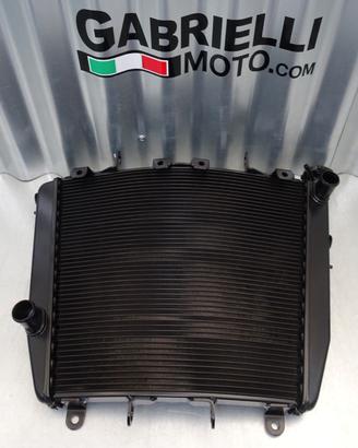 RADIATORE ACQUA