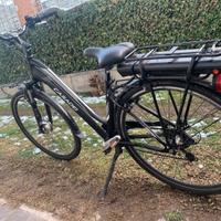 Bicicletta elettrica