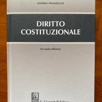 Diritto costituzionale, Pisaneschi, edizione 2